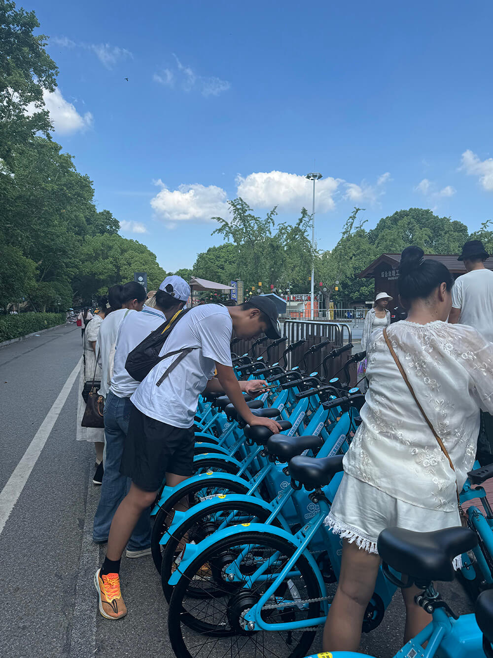 250辆氢能自行车投身南京钟山风景区