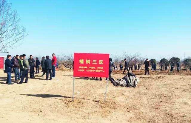 绿动鄢陵——记鄢陵县管理中心植树活动