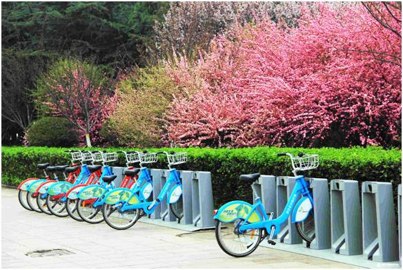 永安百城蓝图之——鸢都潍坊：公共自行车已逐渐成为主要交通工具