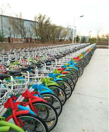 大庆1100辆公共自行车将再次上路